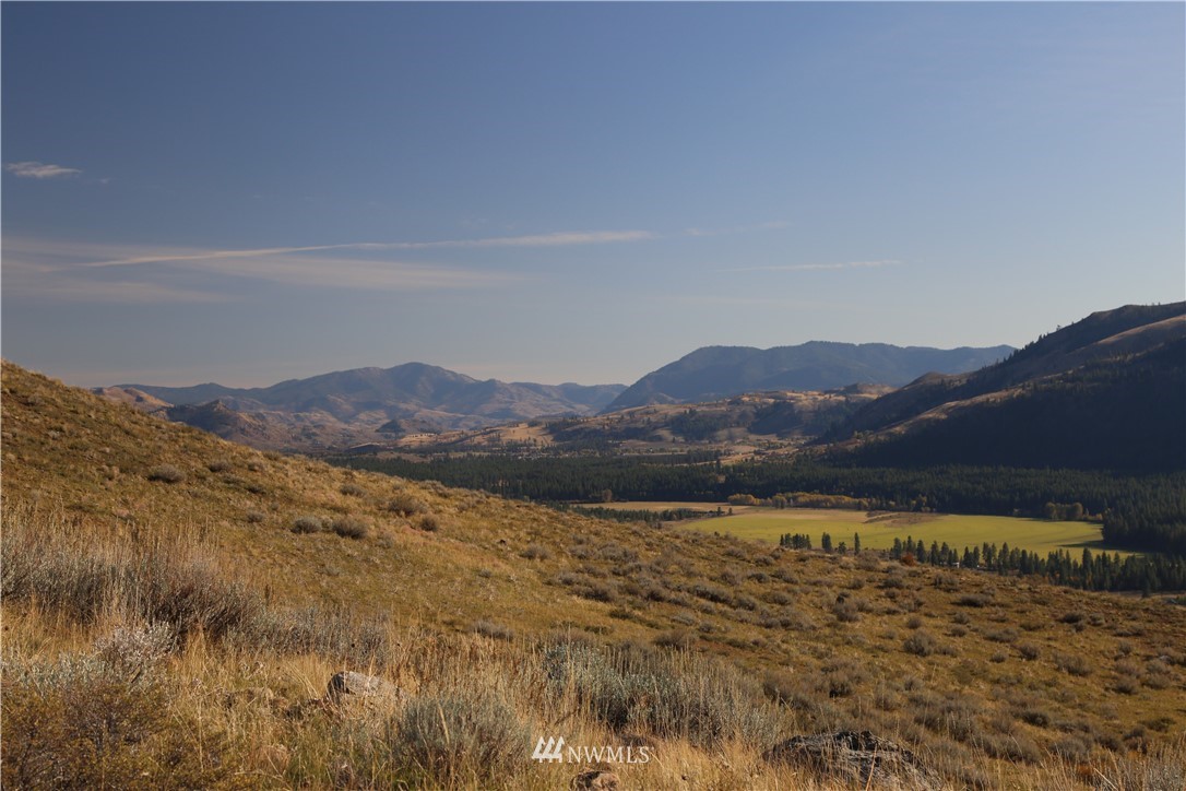 -tbd Spring Grass Road Winthrop, WA 98862 - Photo 5 of 16 Gallery Image 5