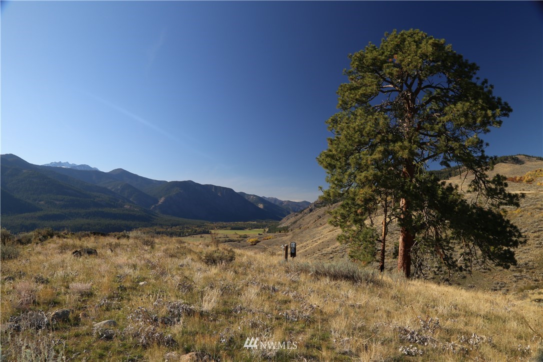 -tbd Spring Grass Road Winthrop, WA 98862 - Photo 6 of 16 Gallery Image 6