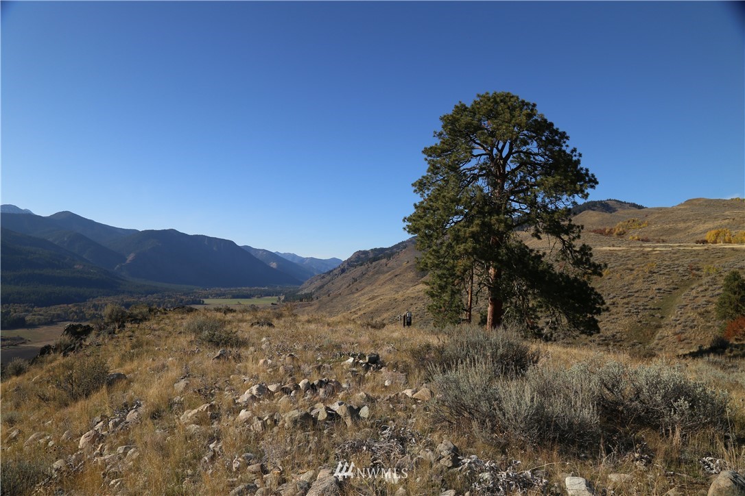 -tbd Spring Grass Road Winthrop, WA 98862 - Photo 7 of 16 Gallery Image 7