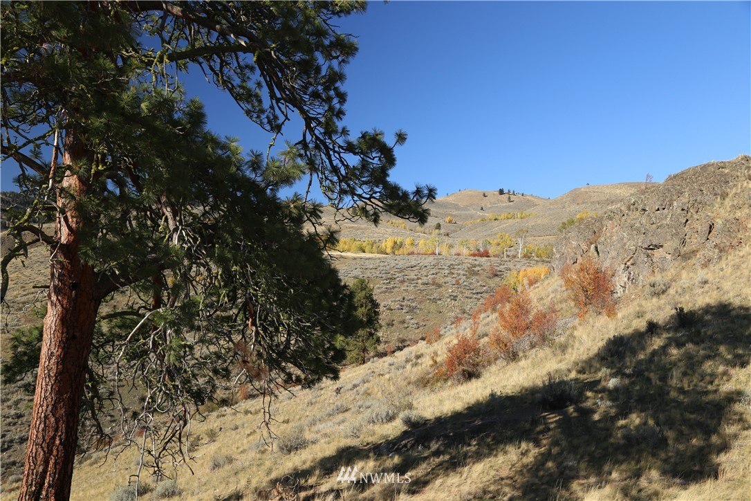 -tbd Spring Grass Road Winthrop, WA 98862 - Photo 8 of 16 Gallery Image 8