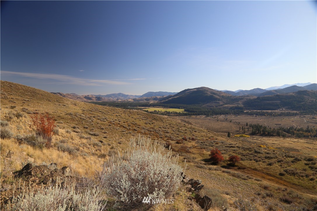 -tbd Spring Grass Road Winthrop, WA 98862 - Photo 9 of 16 Gallery Image 9
