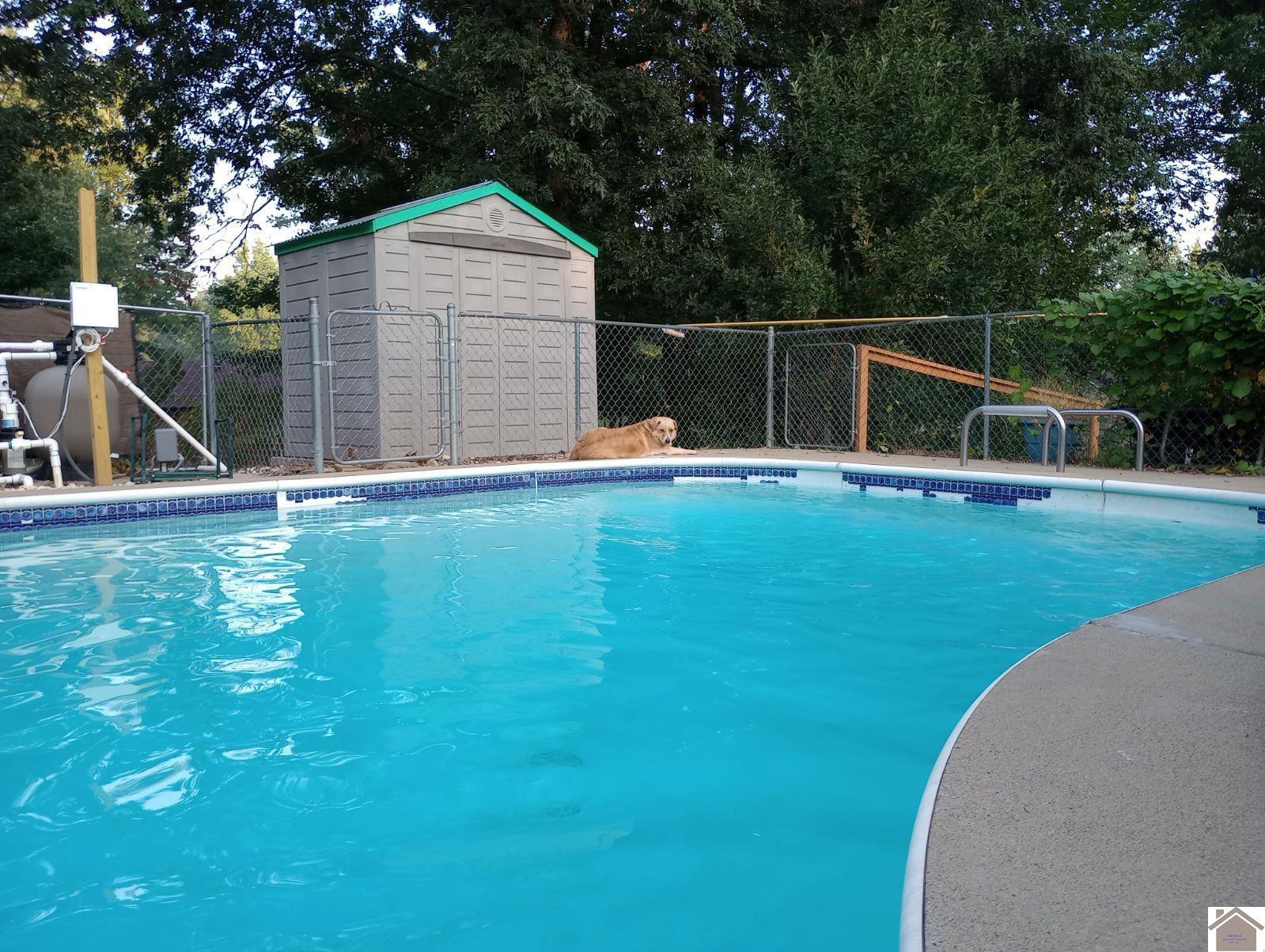 283 Delaware Road Gilbertsville, KY 42044 - Photo 27 of 35 POOL WHEN OPEN