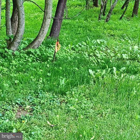 0 Leisczs Bridge Road Reading, PA 19605 - Photo 2 of 8 Gallery Image 2