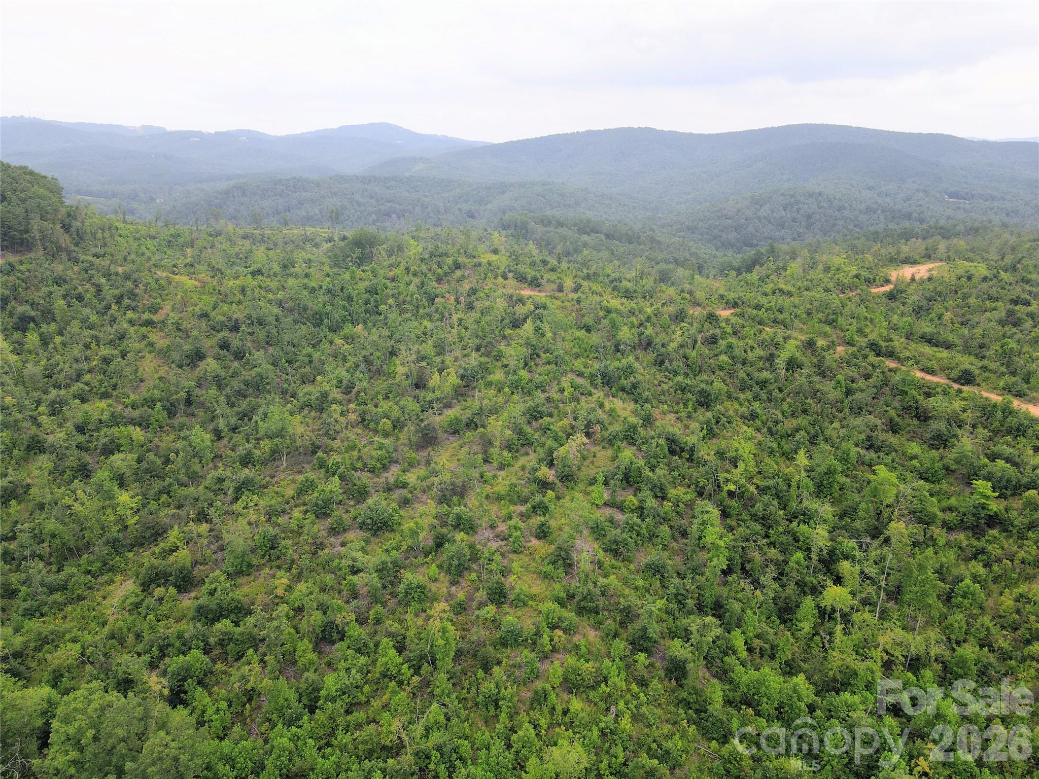 0 Youngs Creek Road Morganton, NC 28655 - Photo 5 of 7 Gallery Image 5
