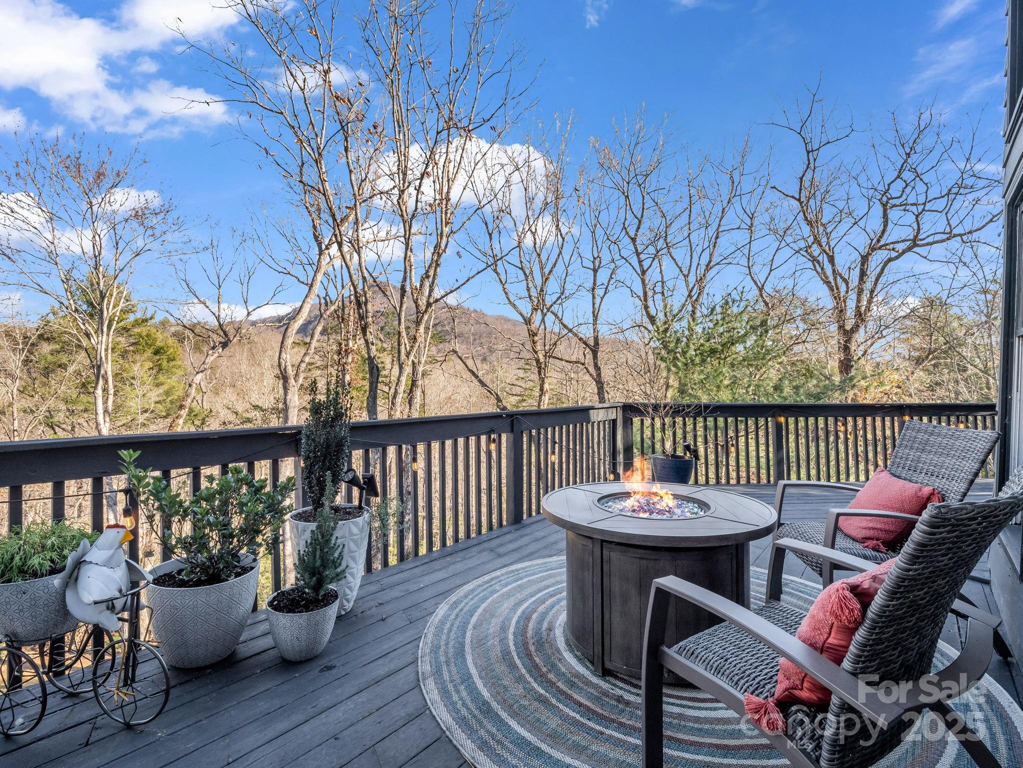 158 Rock Spring Road Lake Lure, NC 28746 - Photo 24 of 48