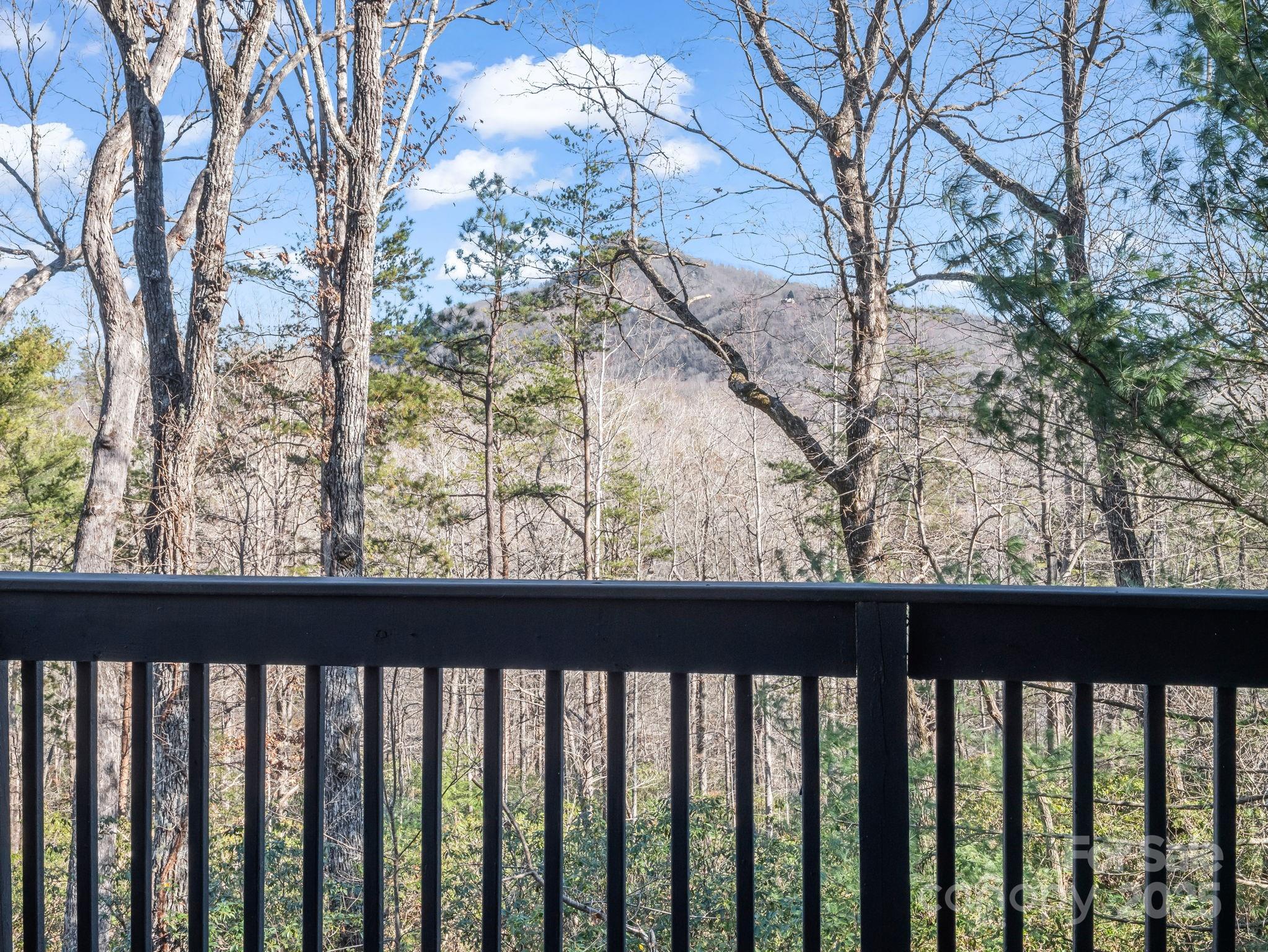 158 Rock Spring Road Lake Lure, NC 28746 - Photo 26 of 48