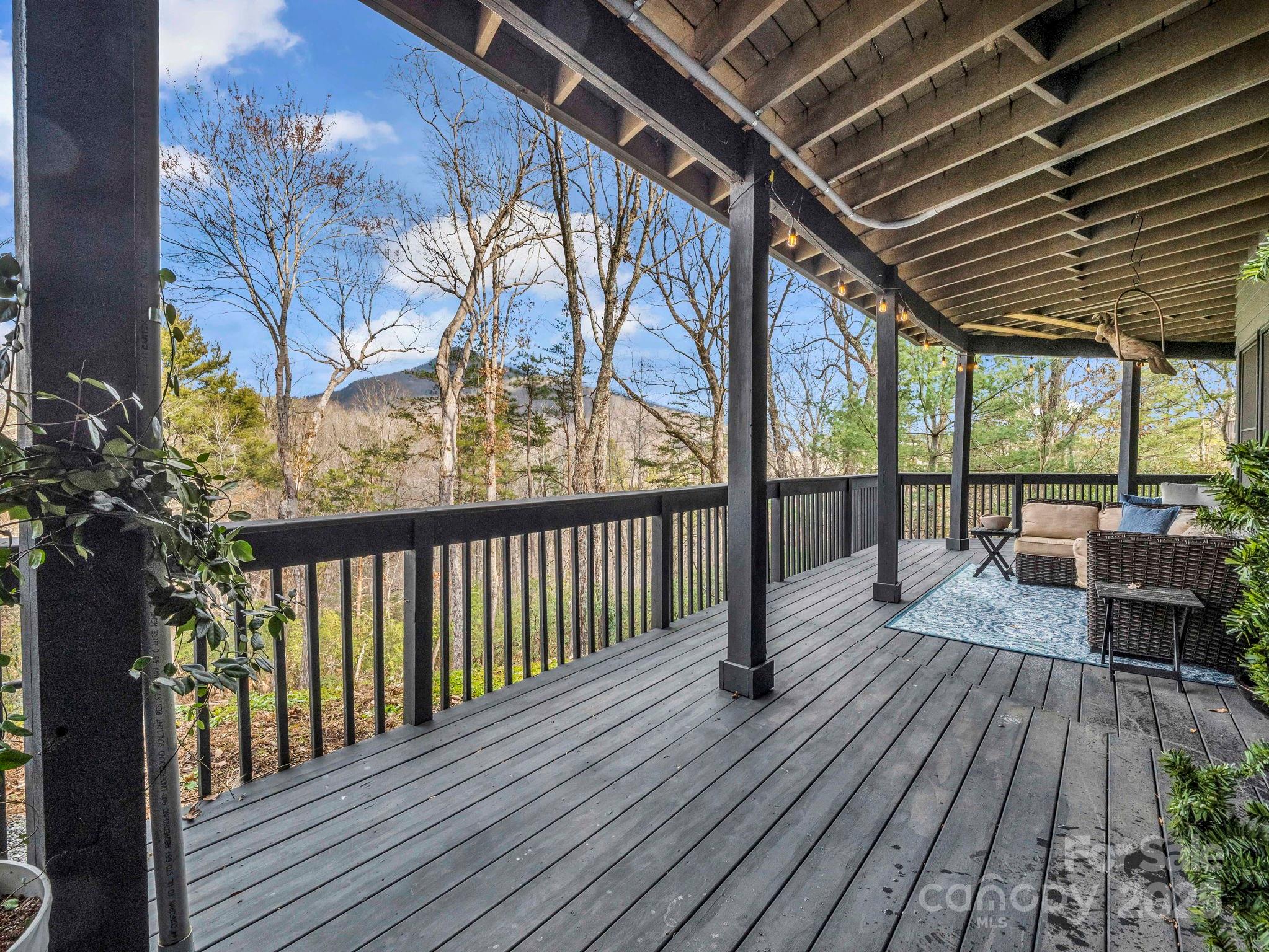 158 Rock Spring Road Lake Lure, NC 28746 - Photo 44 of 48