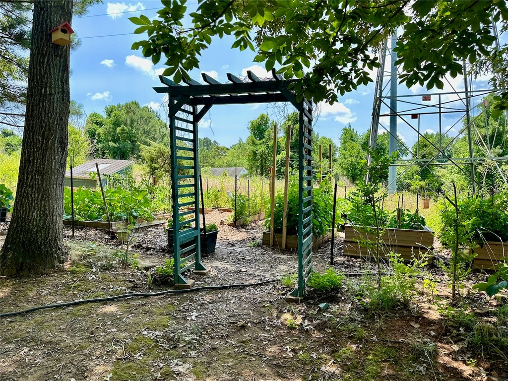 512 State Rd S-37-561 Seneca, SC 29678 - Photo 22 of 45