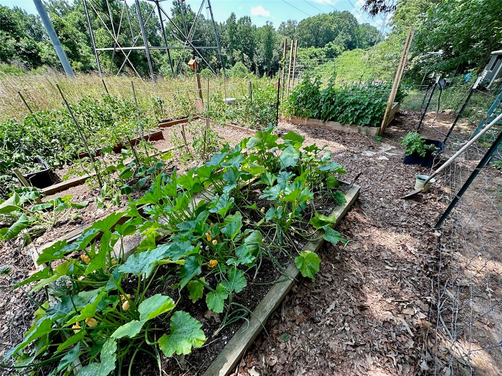 512 State Rd S-37-561 Seneca, SC 29678 - Photo 23 of 45