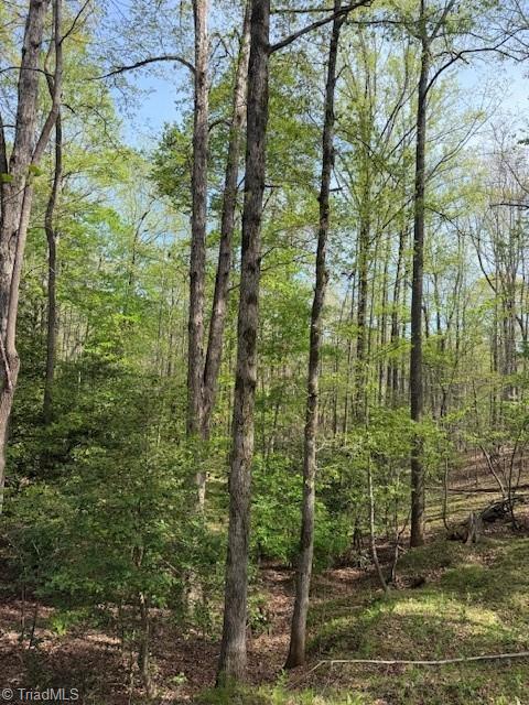 0 Crestview Road Danbury, NC 27016 - Photo 11 of 13 Gallery Image 11