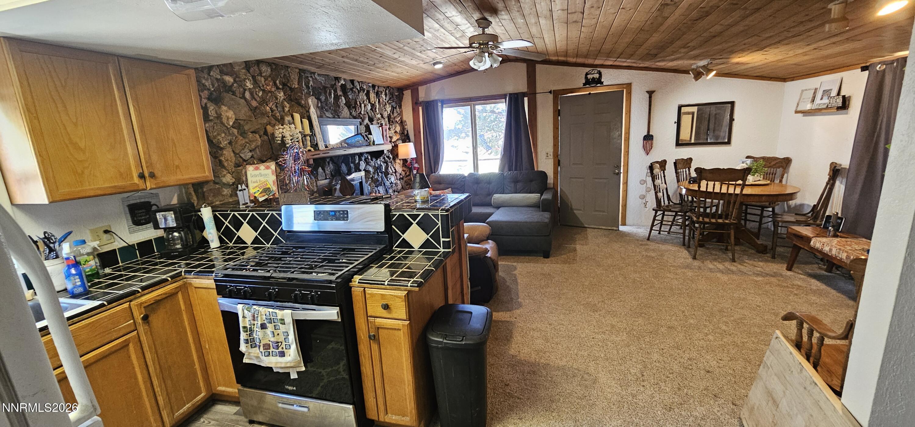 202 Kingston Road Kingston, NV 89310 - Photo 11 of 21 20260627_125013