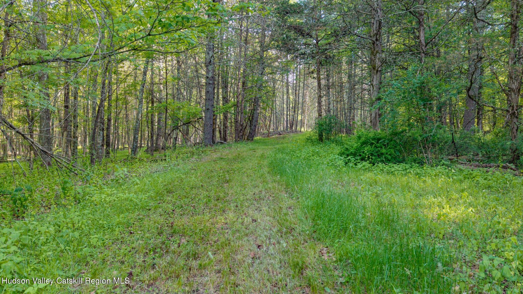 4533 Atwood Road Stone Ridge, NY 12484 - Photo 58 of 63 a view of lush green forest