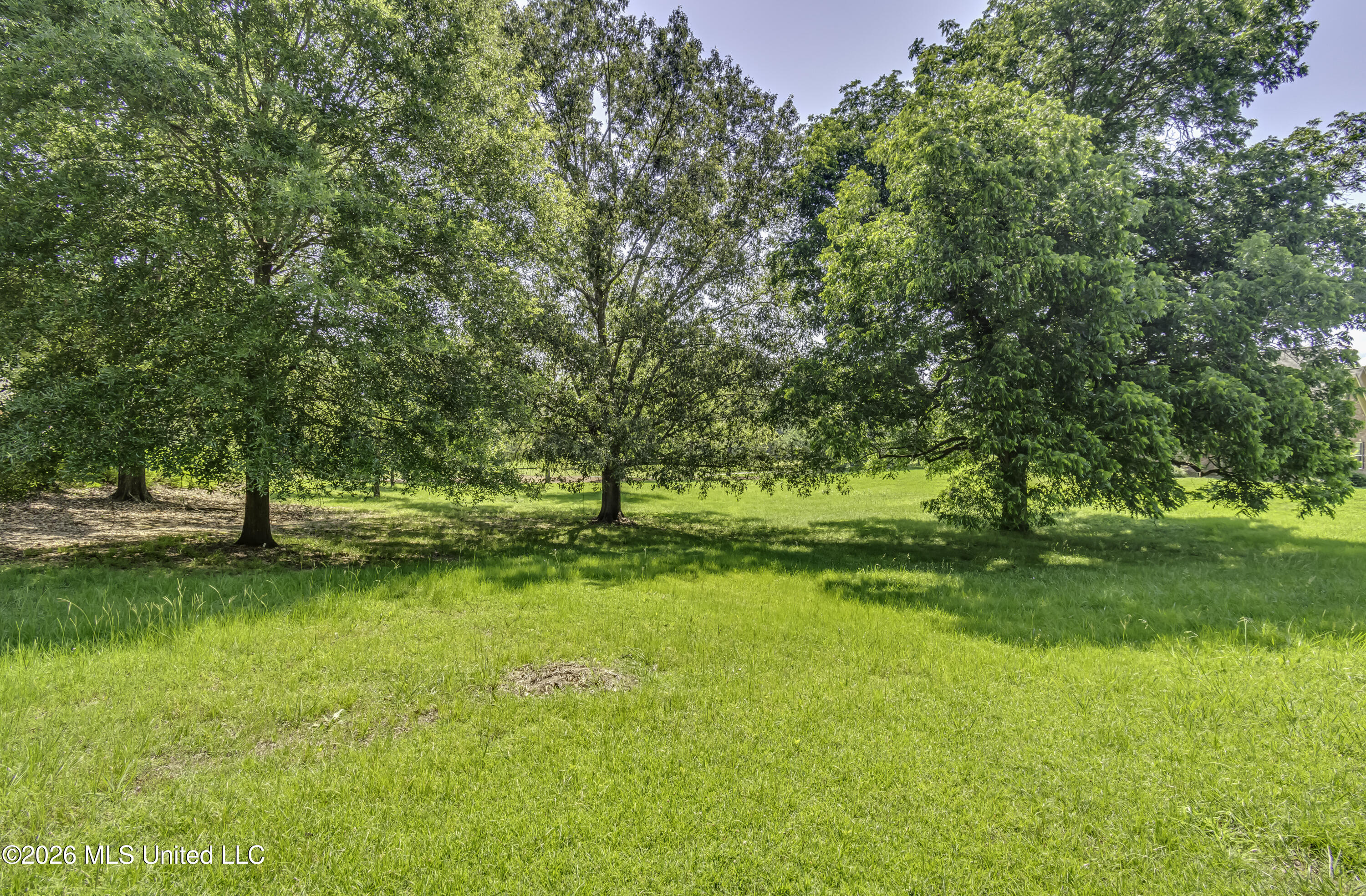 147 Southern Ridge Drive Madison, MS 39110 - Photo 4 of 23 Lot 147 Southern Ridge Dr --3