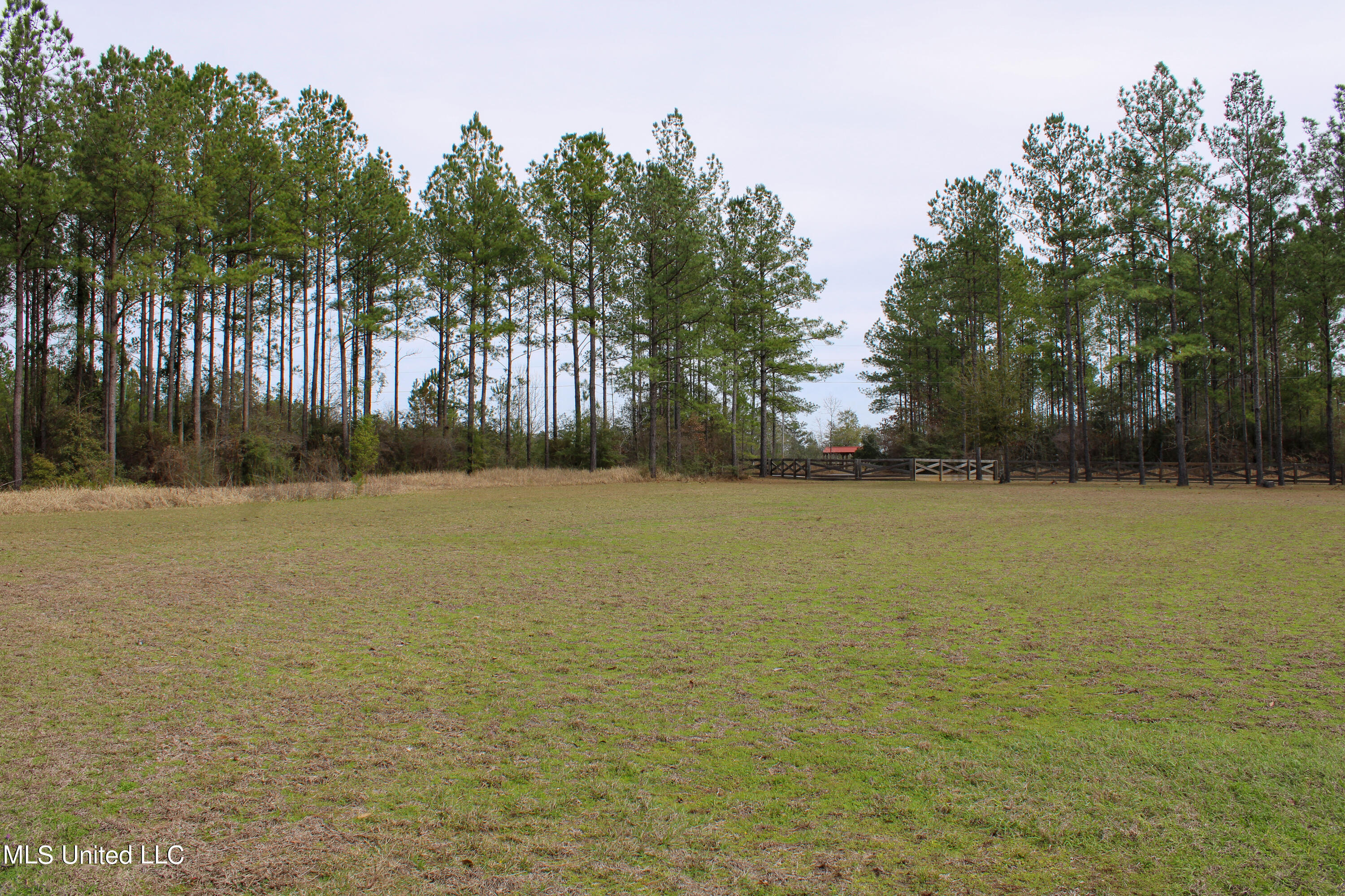 294 Monkey Mizell Road Lucedale, MS 39452 - Photo 24 of 29 IMG_0062
