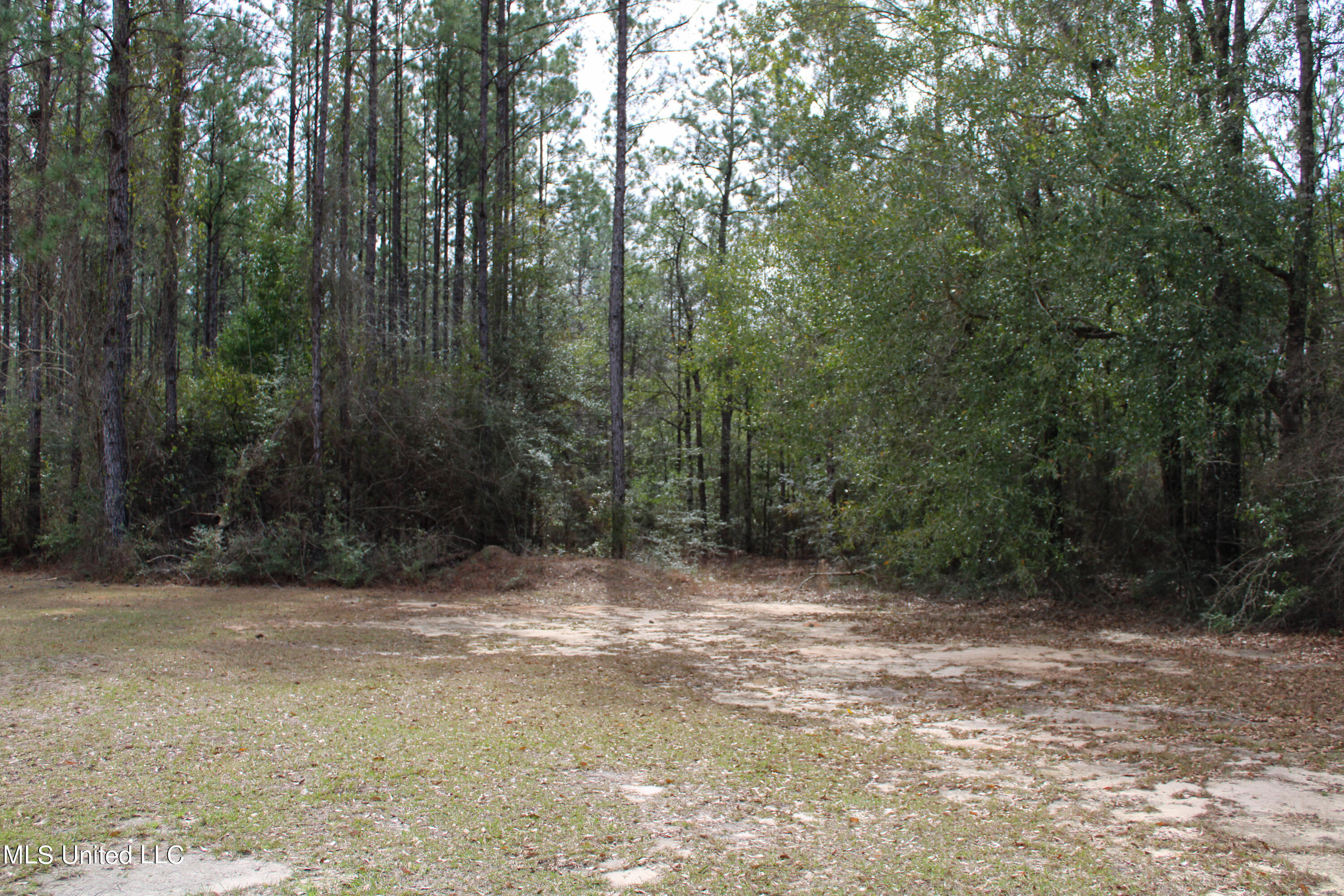 294 Monkey Mizell Road Lucedale, MS 39452 - Photo 26 of 29 IMG_0076