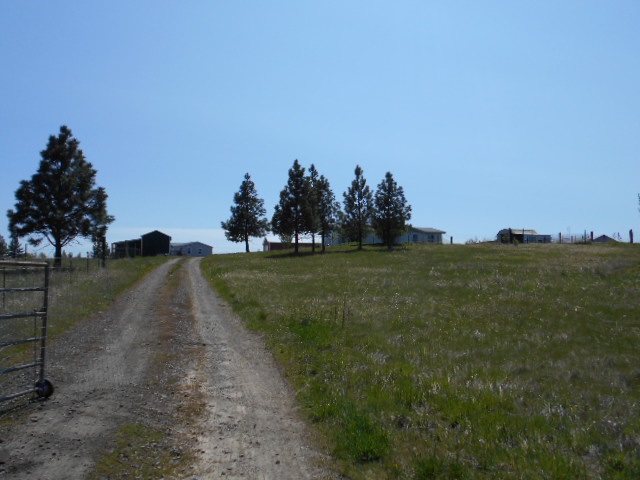 12108 East Rinear Road Valleyford, WA 99036 - Photo 2 of 20