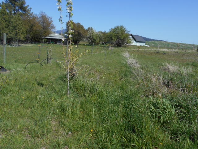 12108 East Rinear Road Valleyford, WA 99036 - Photo 12 of 20