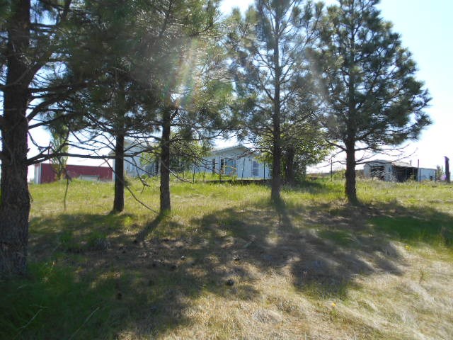 12108 East Rinear Road Valleyford, WA 99036 - Photo 13 of 20