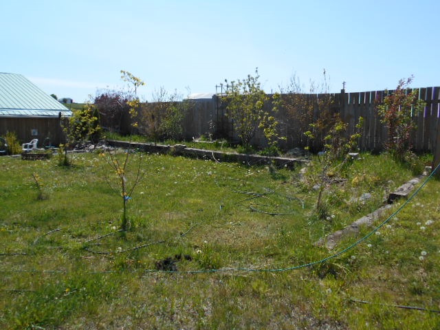 12108 East Rinear Road Valleyford, WA 99036 - Photo 3 of 20