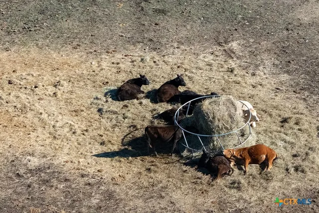 a view of a house with backyard and a porch