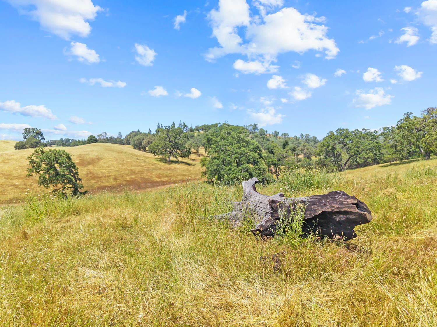 12850 Fiddletown Road Plymouth, CA 95669 - Photo 80 of 88
