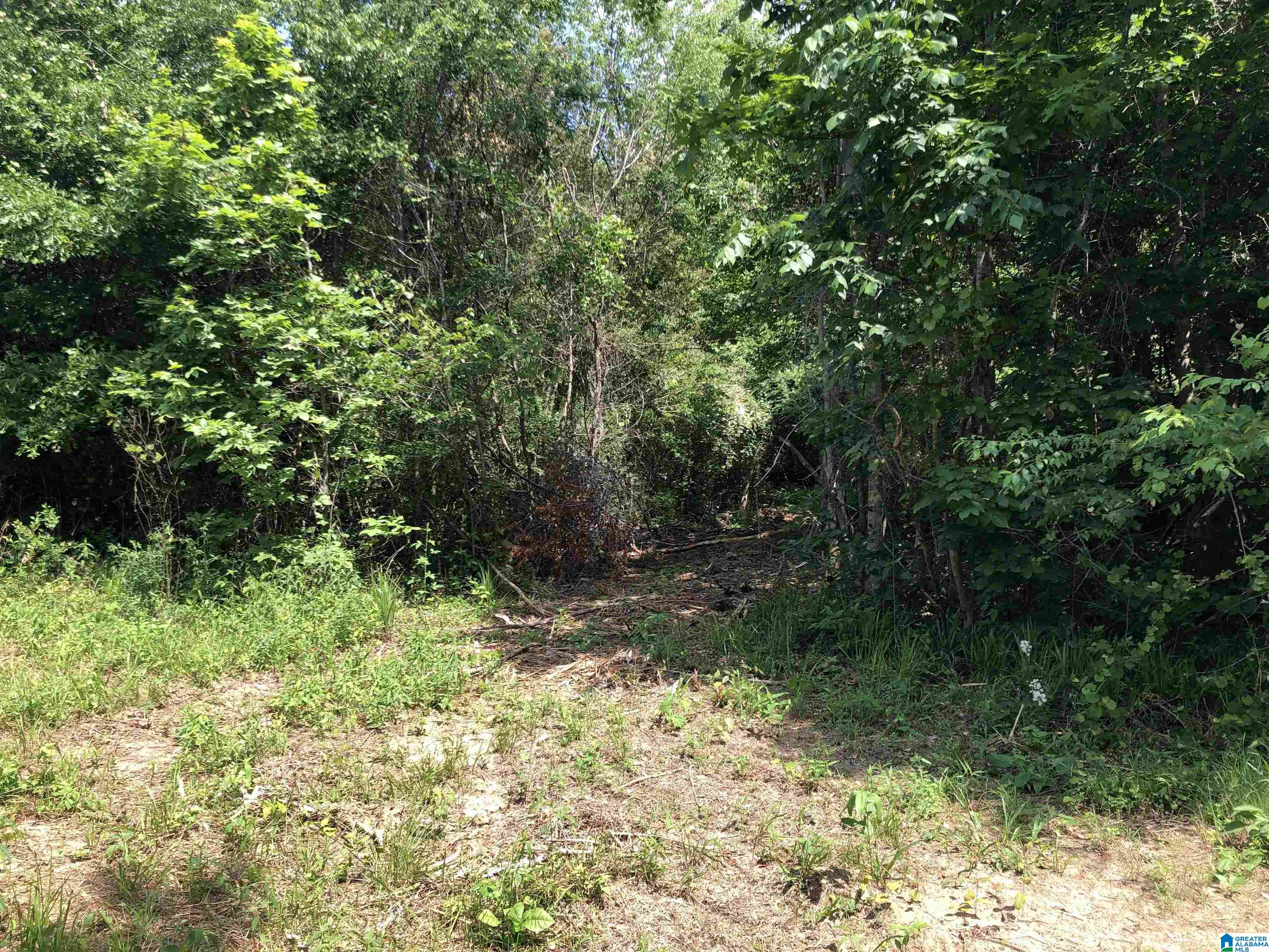 0 Peeks Hill Road, Unit 6 Ohatchee, AL 36271 - Photo 3 of 11