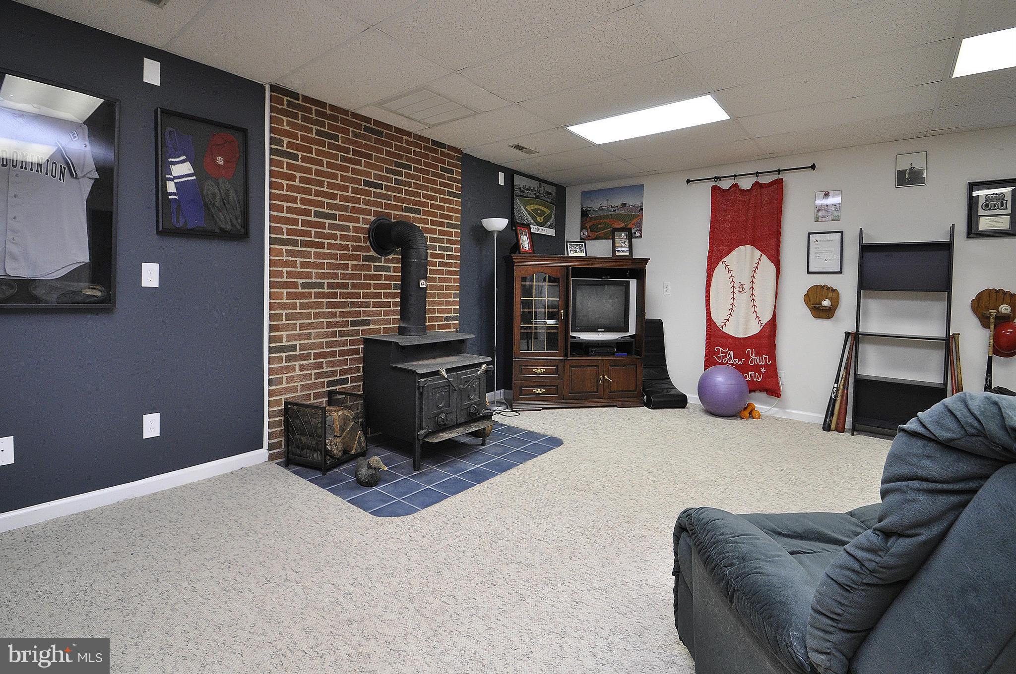 111 Federal Road Locust Grove, VA 22508 - Photo 19 of 27 Lower Level Recreation Room
