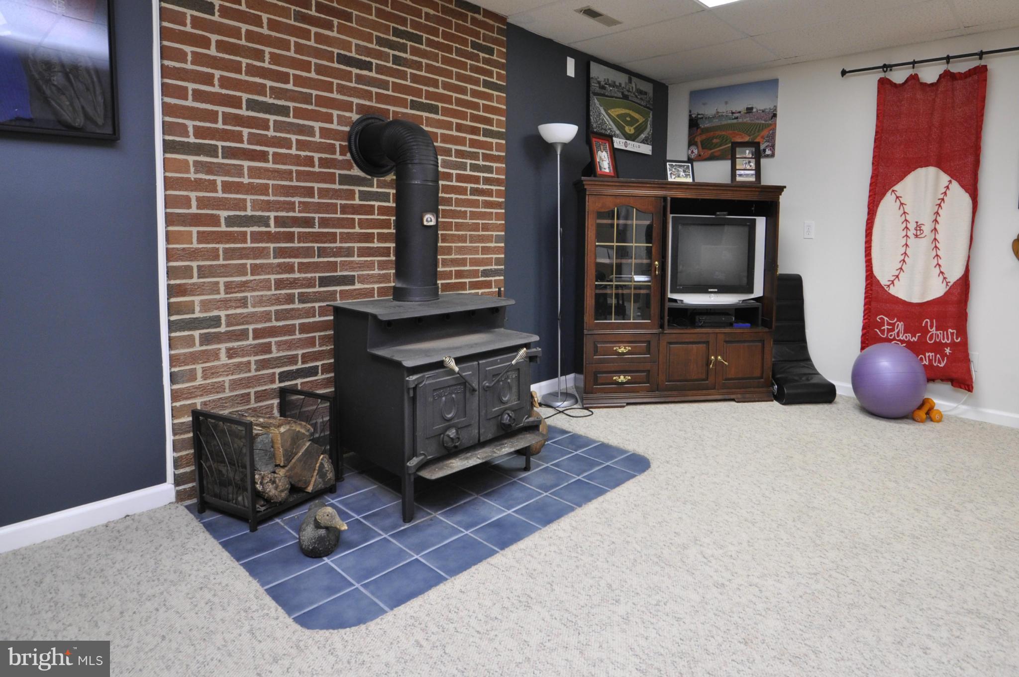 111 Federal Road Locust Grove, VA 22508 - Photo 20 of 27 Lower Level Wood Stove