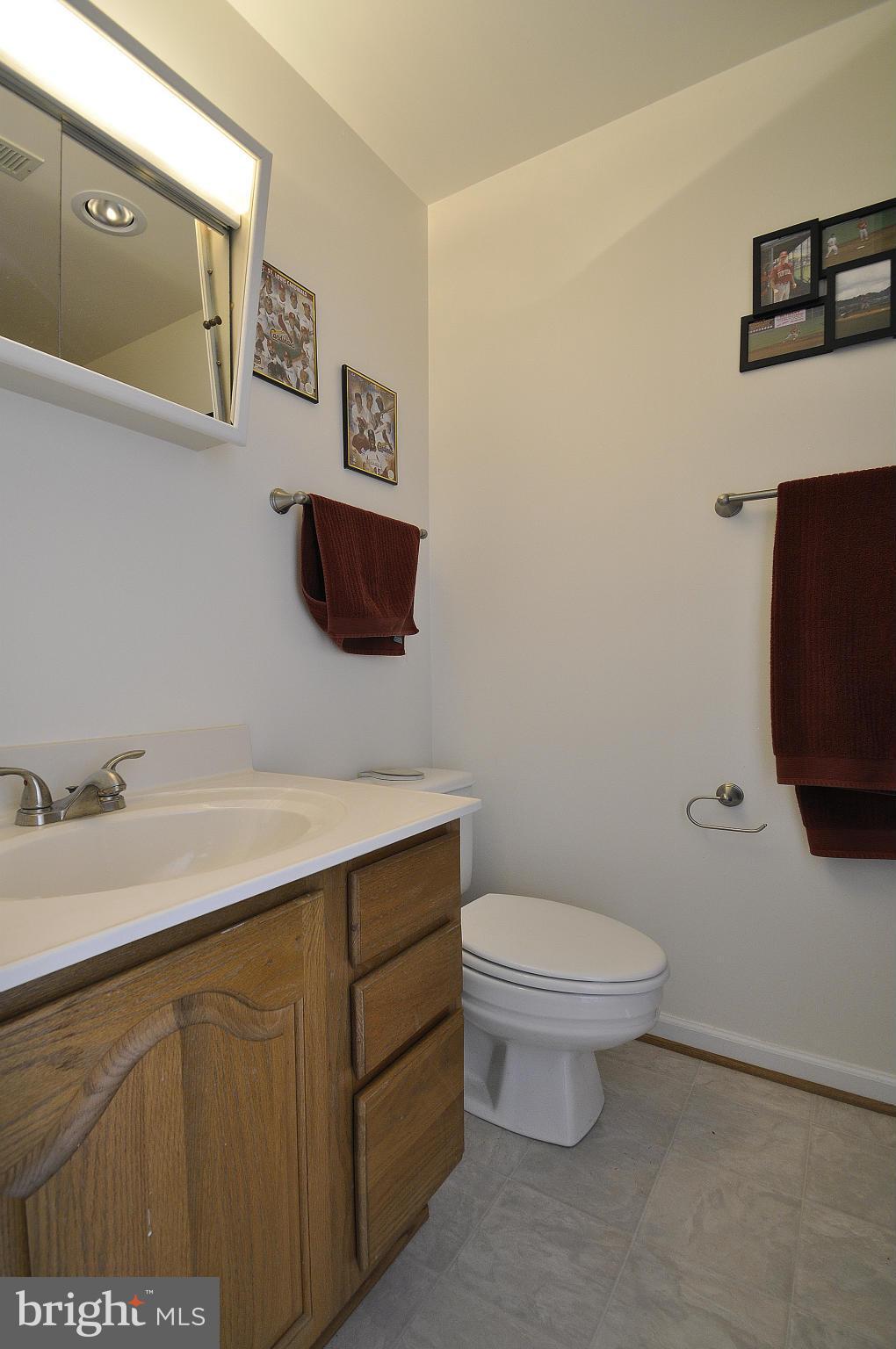 111 Federal Road Locust Grove, VA 22508 - Photo 23 of 27 Lower Level Bathroom