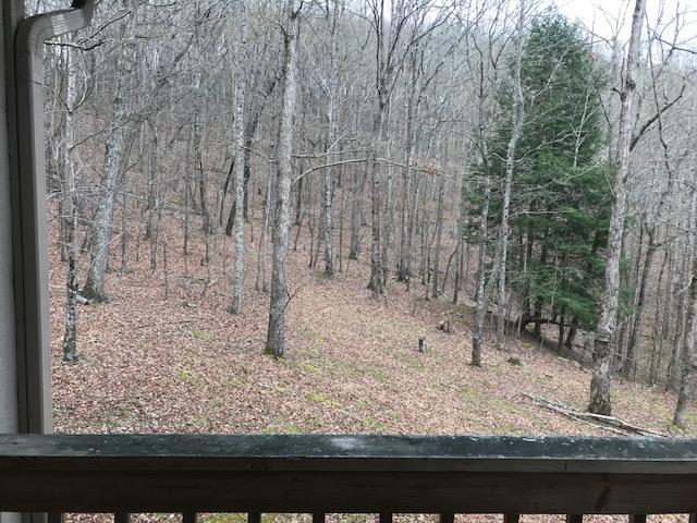 1298 Wesley Chapel Road Somerset, KY 42501 - Photo 10 of 24 IMG_3559