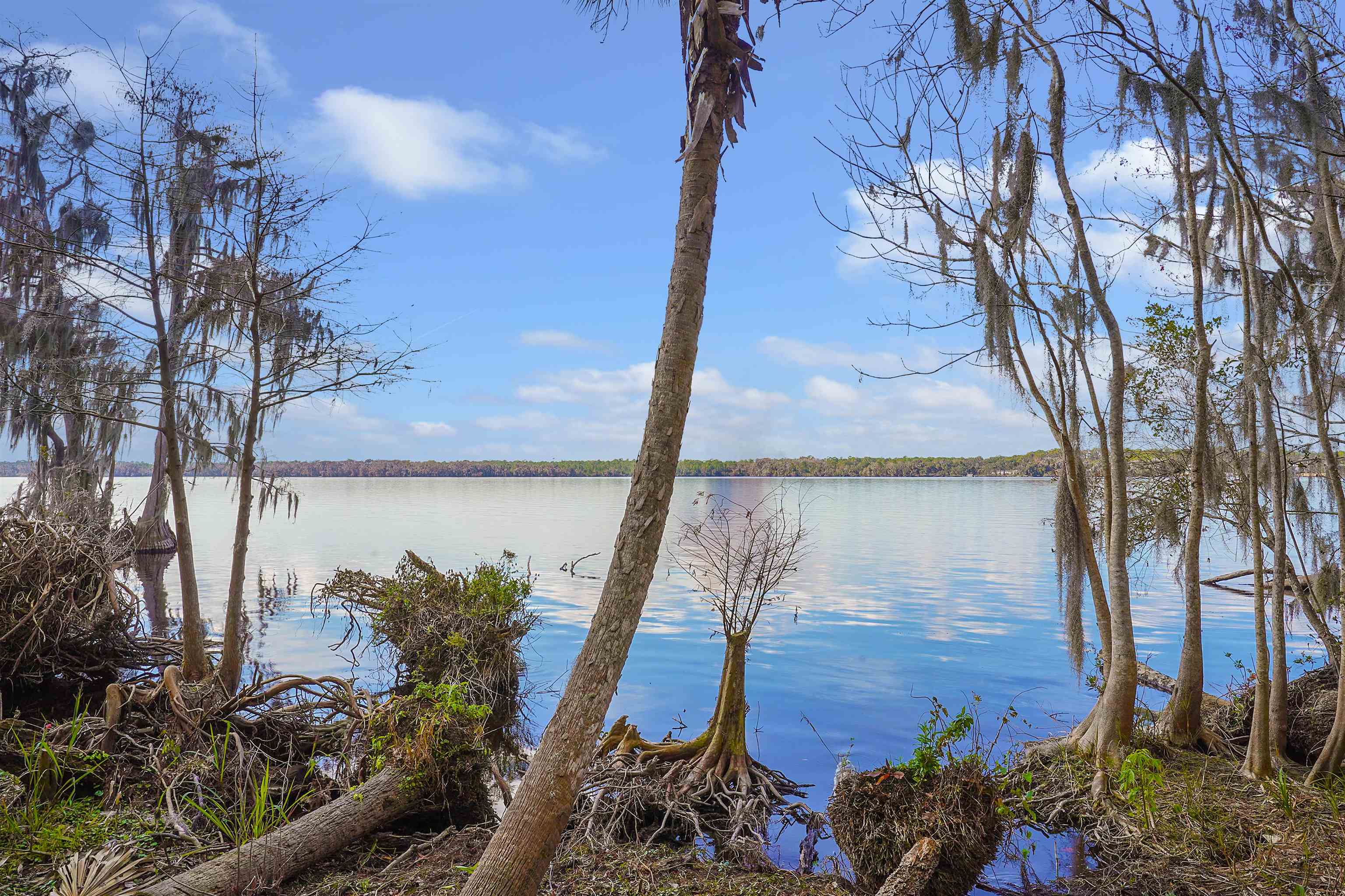 1249 County Rd Crescent, Unit 309 Crescent City, FL 32112 - Photo 14 of 23 a view of a backyard of the house