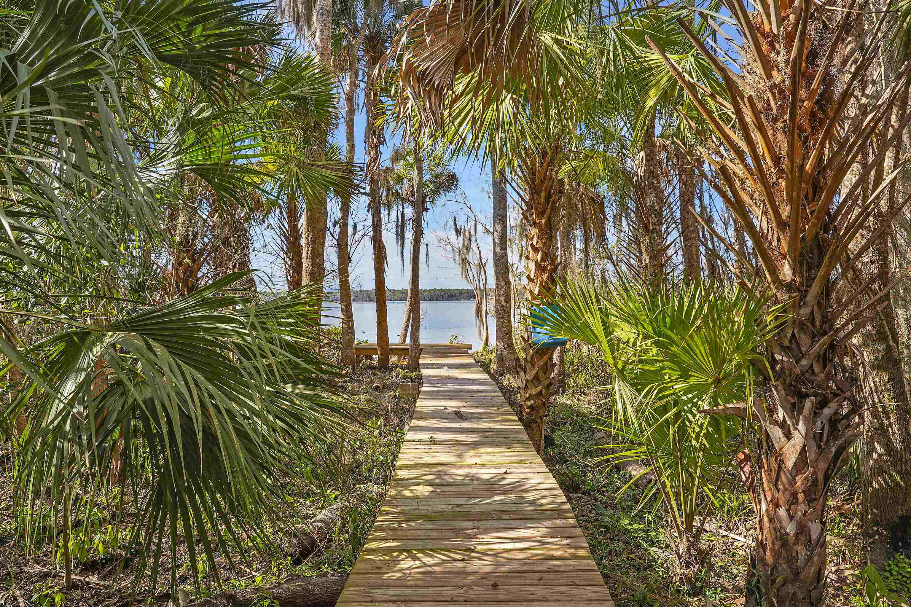 1249 County Rd Crescent, Unit 309 Crescent City, FL 32112 - Photo 2 of 23 a view of a backyard of the house