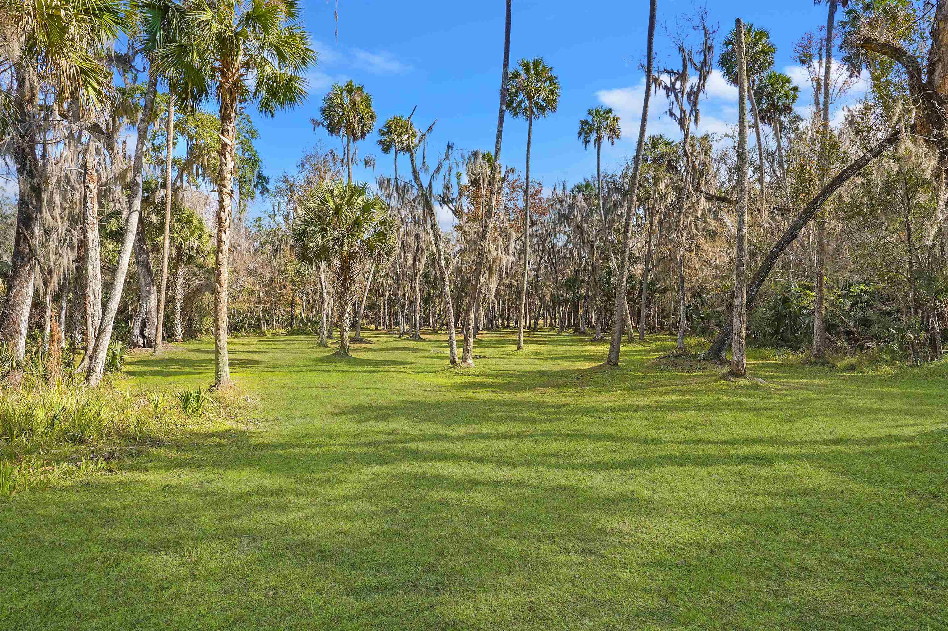 1249 County Rd Crescent, Unit 309 Crescent City, FL 32112 - Photo 4 of 23 a view of a park