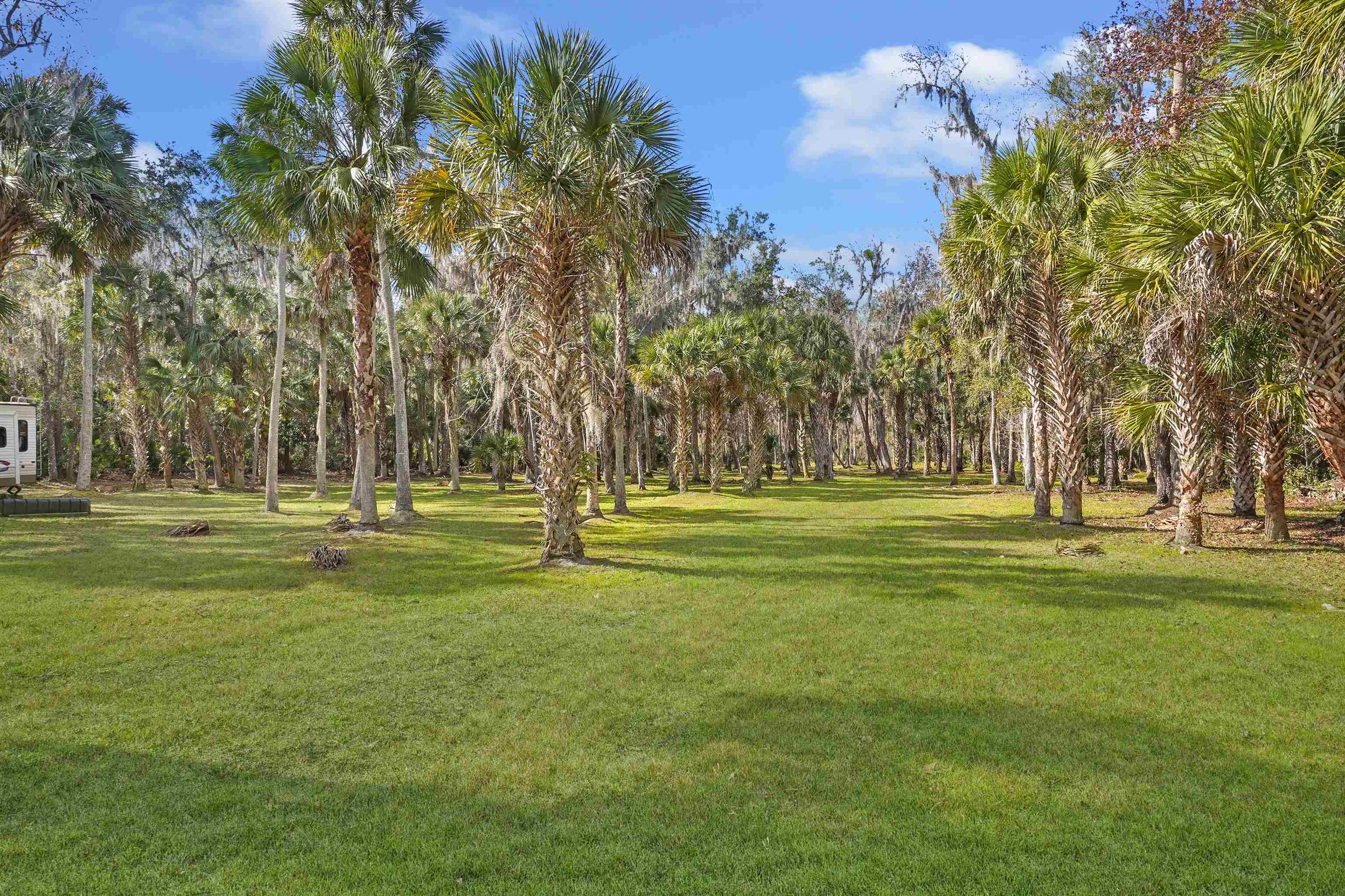 1249 County Rd Crescent, Unit 309 Crescent City, FL 32112 - Photo 8 of 23 a view of a park