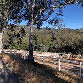 a view of street with trees