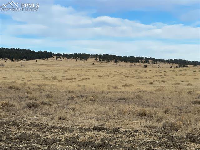 2 County Road 102 Road Elbert, CO 80106 - Photo 4 of 34