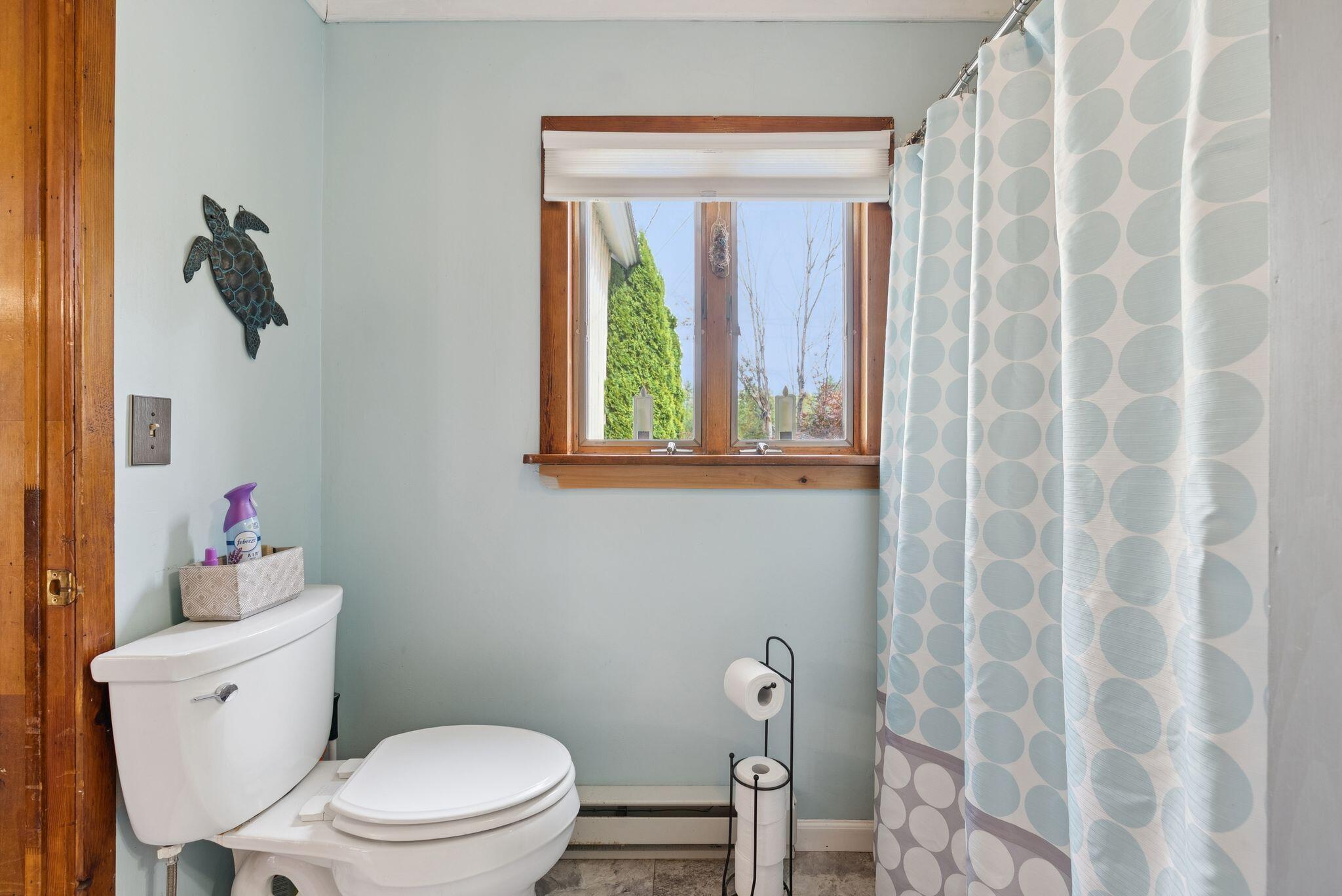 206 Gilman Road Porter, ME 04068 - Photo 24 of 57 60_DSC05746