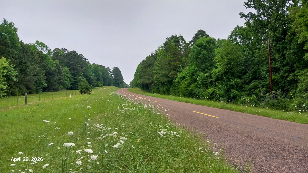 0 Fm 1857 Rusk, TX 75785 - Photo 23 of 24