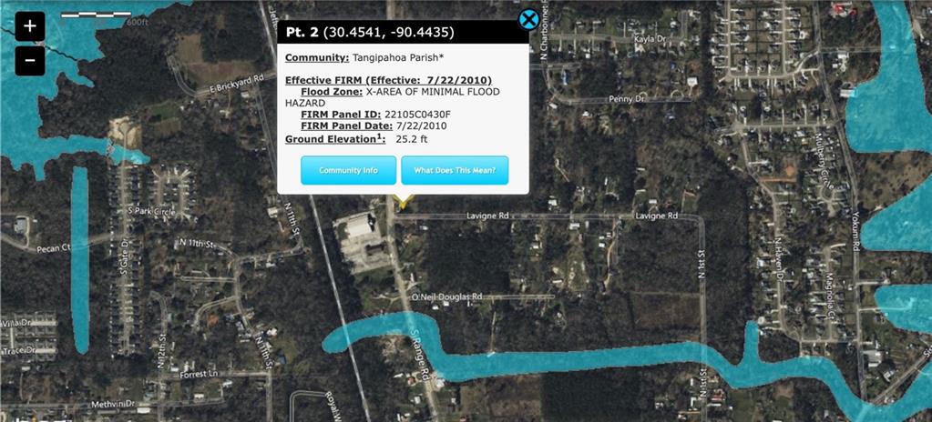 2 Lavigne Road Ponchatoula, LA 70454 - Photo 3 of 4