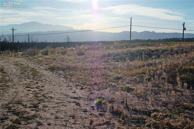 13475 Holmes Road Colorado Springs, CO 80908 - Photo 4 of 17