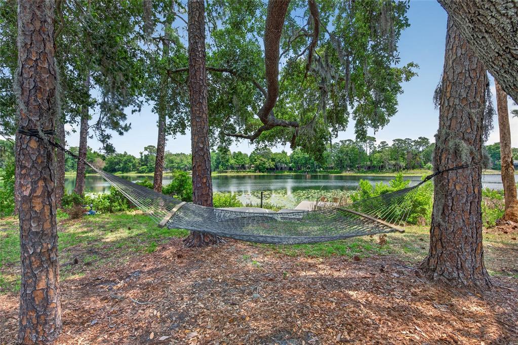 8243 Riviera Shore Court Orlando, FL 32817 - Photo 33 of 45