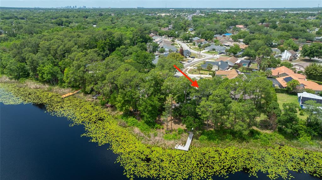 8243 Riviera Shore Court Orlando, FL 32817 - Photo 44 of 45