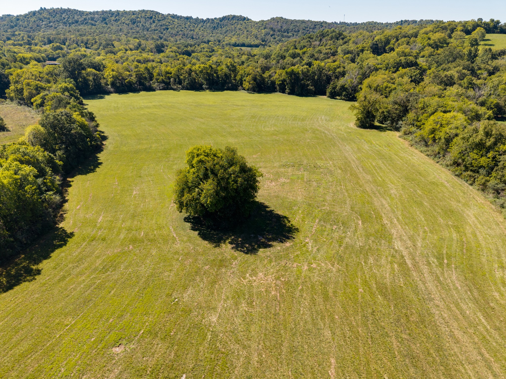 0 Petersburg-Chestnut Ridge Road Petersburg, TN 37144 - Photo 4 of 10