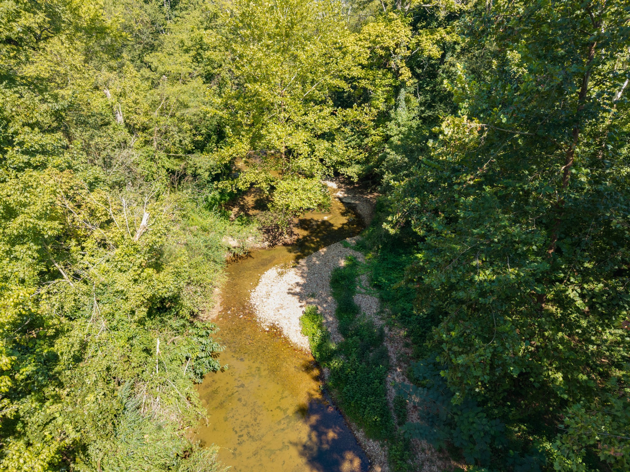 0 Petersburg-Chestnut Ridge Road Petersburg, TN 37144 - Photo 9 of 10