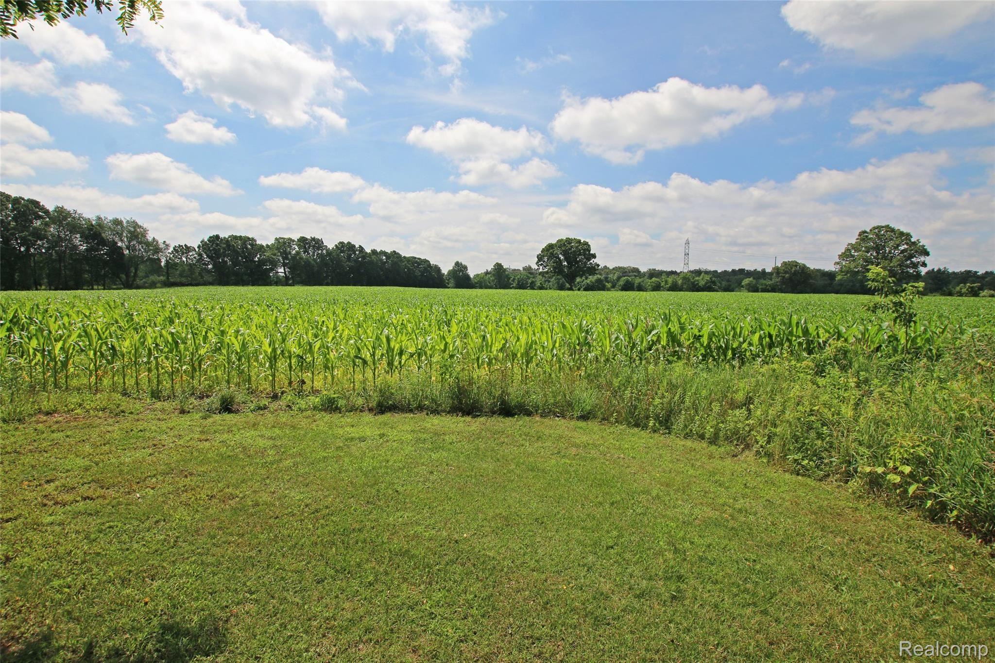 4223 Merwin Road Lapeer, MI 48446 - Photo 75 of 83 74) Field.jpg