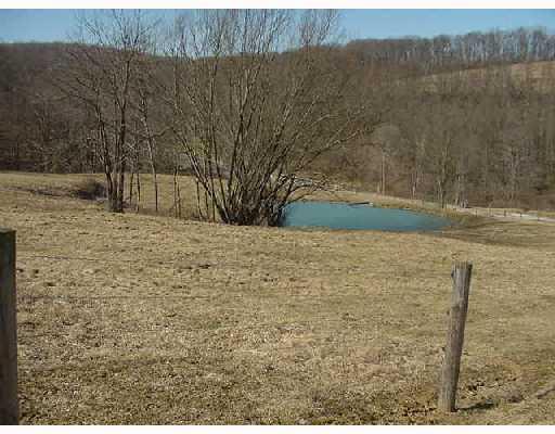 1730 Amity Ridge Road Washington, PA 15301 - Photo 4 of 8 Other Plan. Your own Pond! Stock it and have your friends and family over to fish!