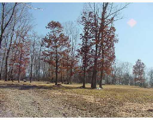1730 Amity Ridge Road Washington, PA 15301 - Photo 6 of 8 Land/Lot. Total Privacy! Has a gated entrance. So Many Possibilities.....Have a bonfire! Ride your Quads! Hunt! Fish! Live the dream!
