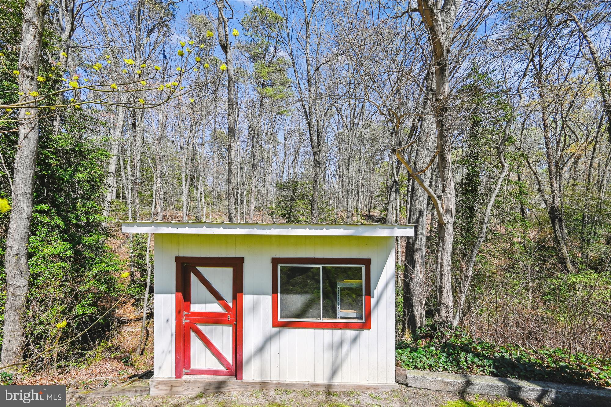 8179 Old Mill Road Pasadena, MD 21122 - Photo 35 of 38 Shed