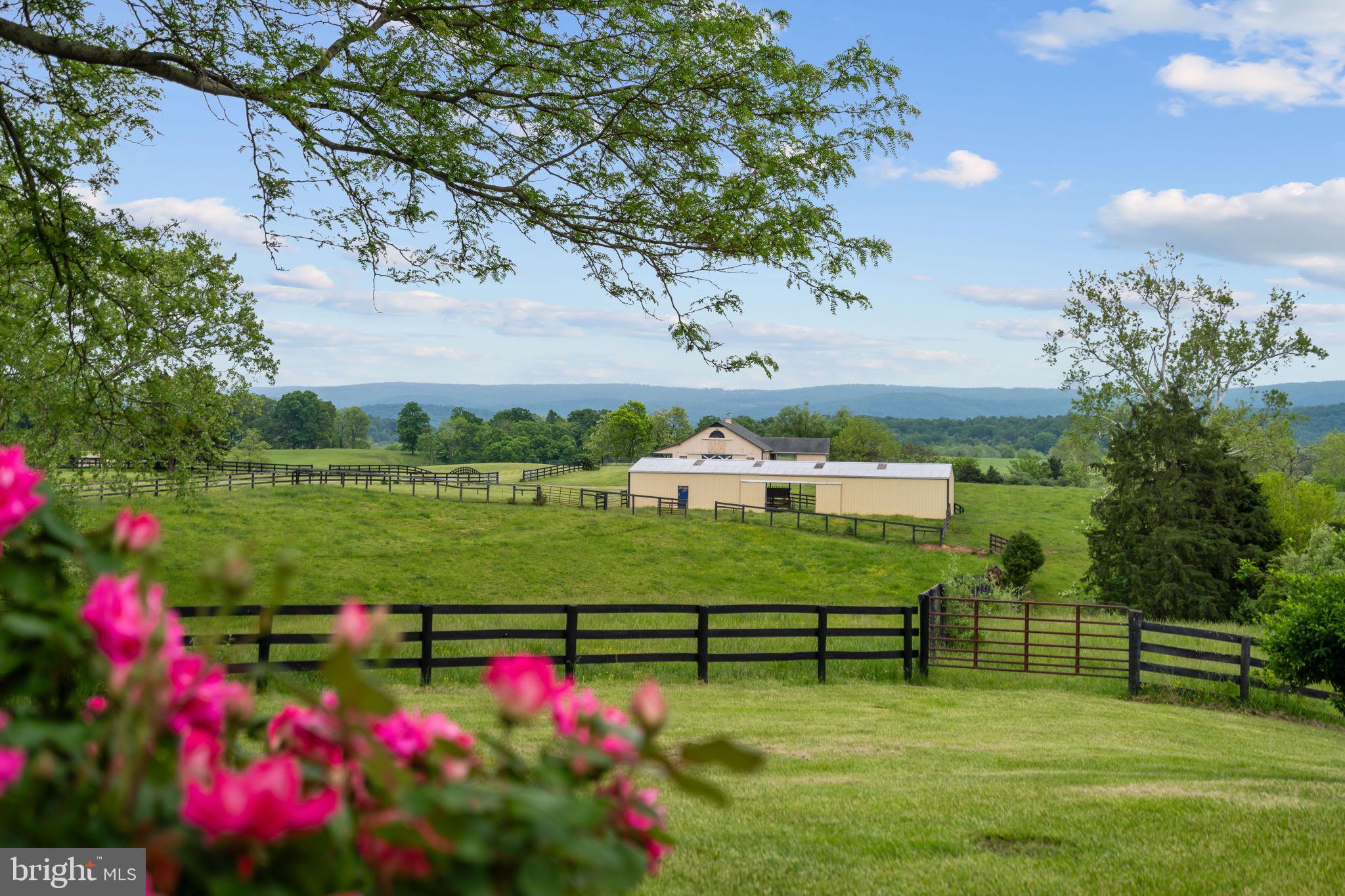 1600 Briggs Road Berryville, VA 22611 - Photo 2 of 38 Property looking East