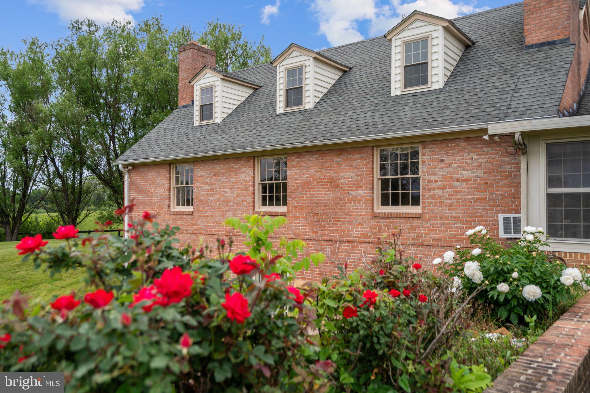 1600 Briggs Road Berryville, VA 22611 - Photo 23 of 38 Exterior